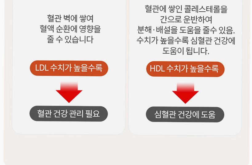 홍국트리오 메가 중성지방 콜레스테롤 낮추는 HDL LDL 홍국영양제 60정, 1개